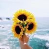 faith_bussell